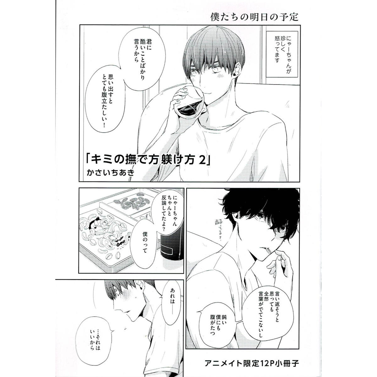 かさいちあき キミの撫で方躾け方 2 アニメイト 小冊子 Blグッズ K Book