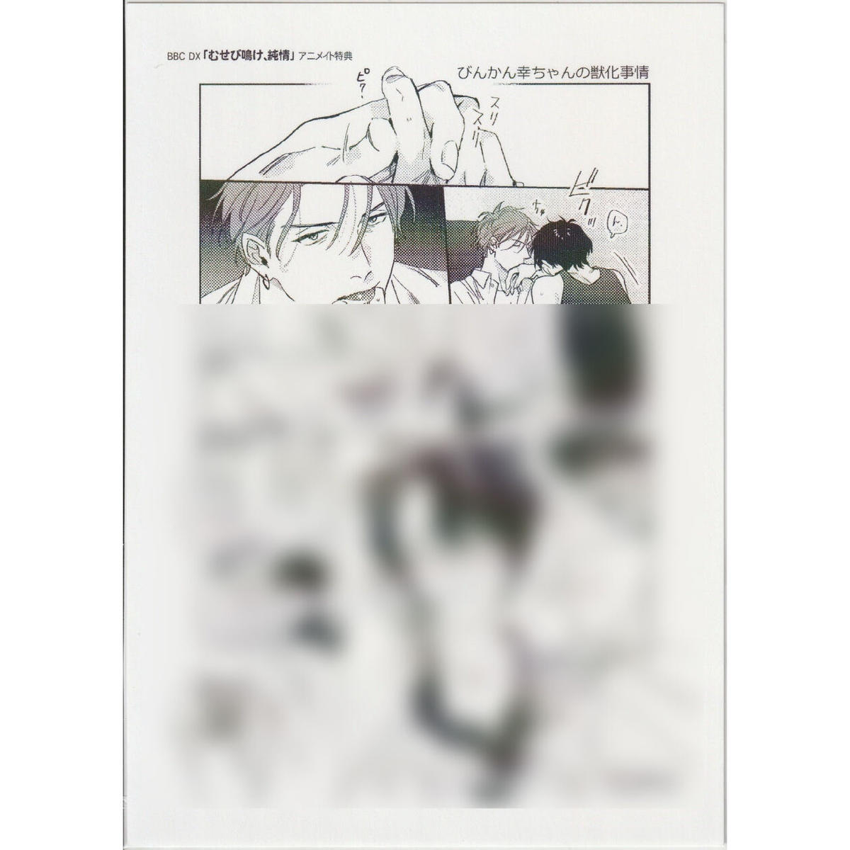 松基羊 むせび鳴け 純情 アニメイト特典 ペーパー Blグッズ K Books 池袋