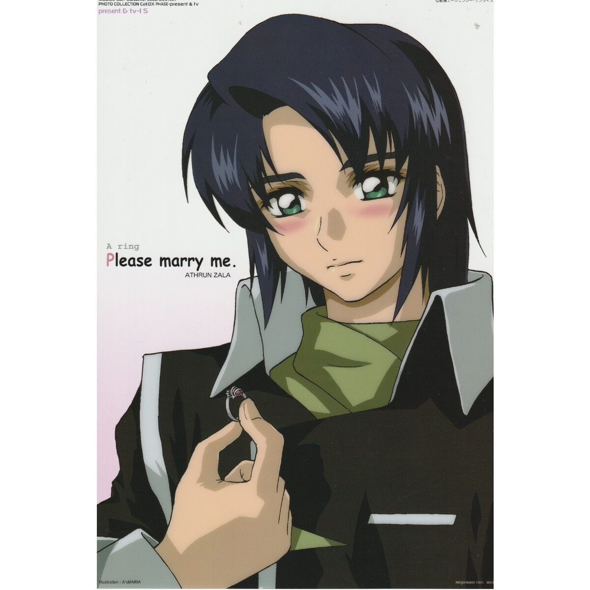 シン ステラ フォトコレクションCellDX ガンダムSEEDDESTINY Amazon.co.jp: フォトコレ Cell DX PHOTO COLLECTION BOX 16枚