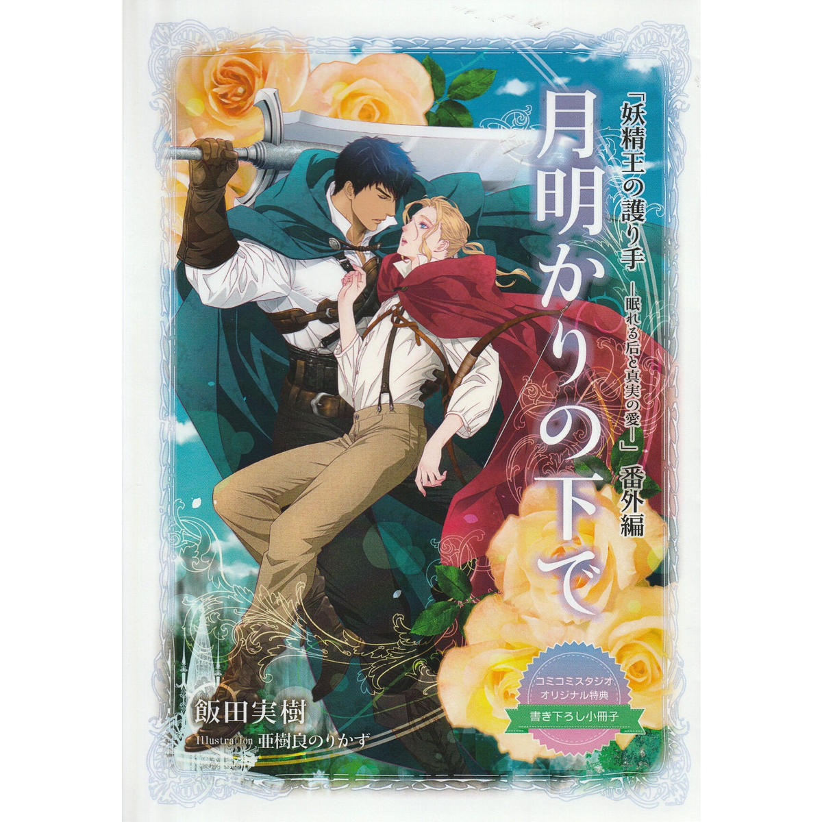 飯田実樹 亜樹良のりかず 妖精王の護り手 眠れる后と真実の愛 小冊子 Blグッズ K
