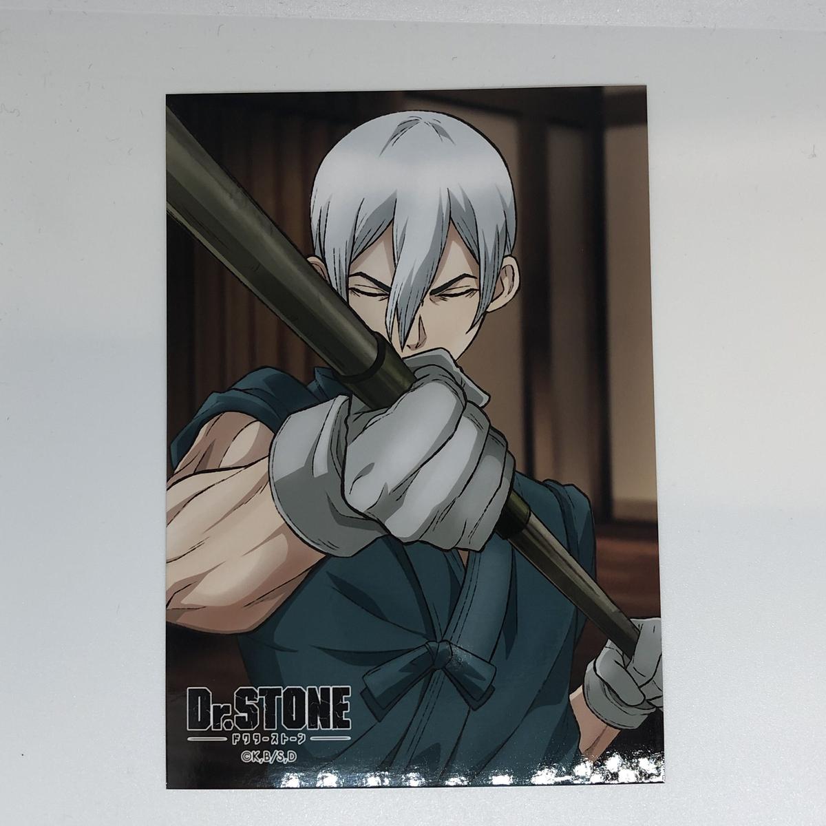 Dr.STONE 氷月　アクキー コロッタ ブロマイド コースター 8点セット ドクターストーン ブロマイド 氷月
