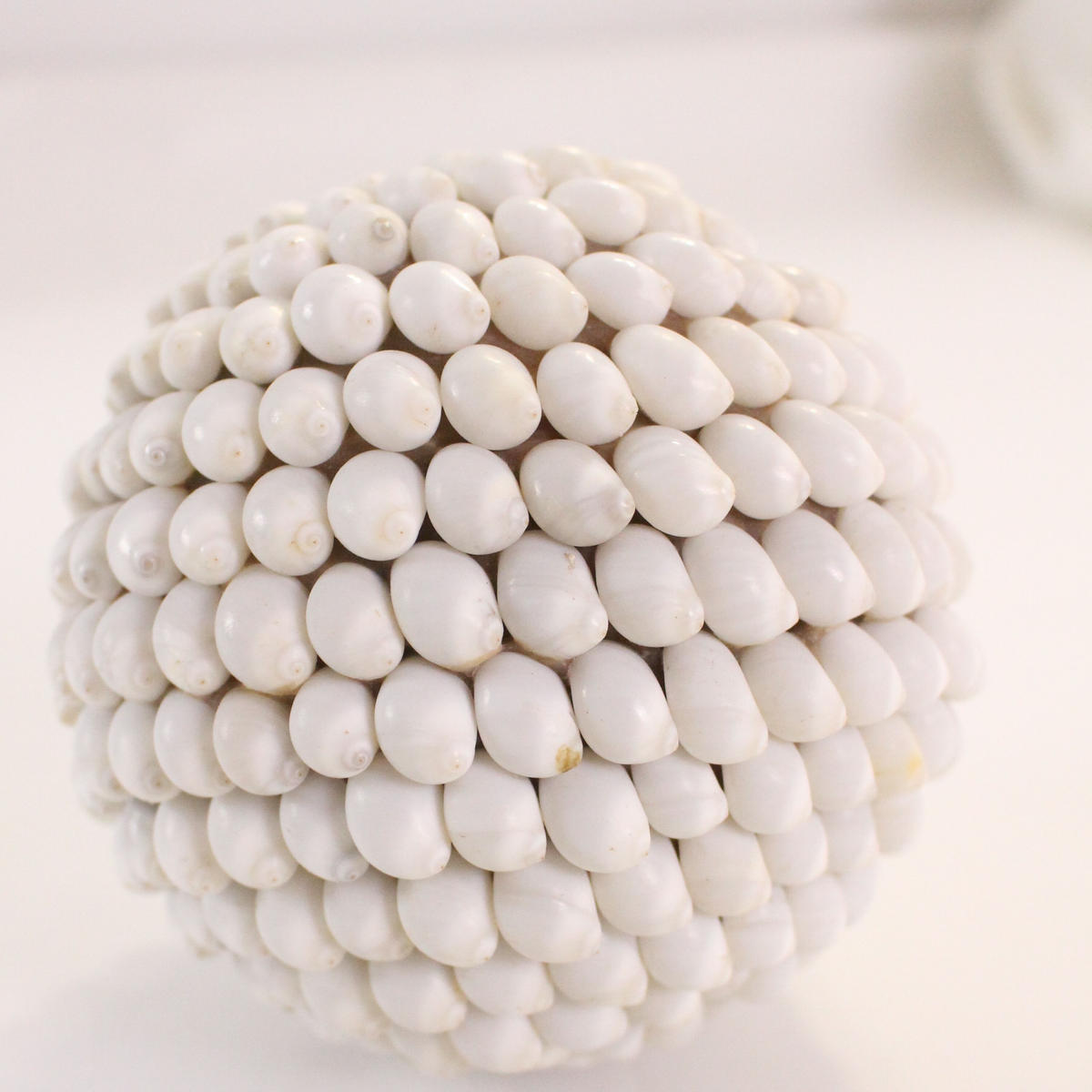 natural shell balls(大 ) iletelle