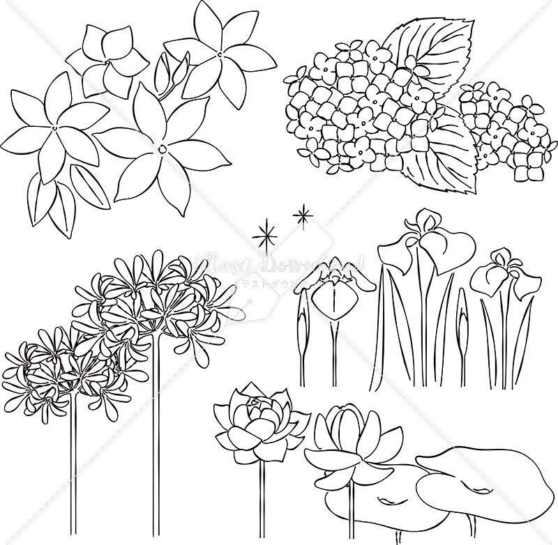 梅雨 アジサイ 花 あしらい ペン画 手書き Illust Download