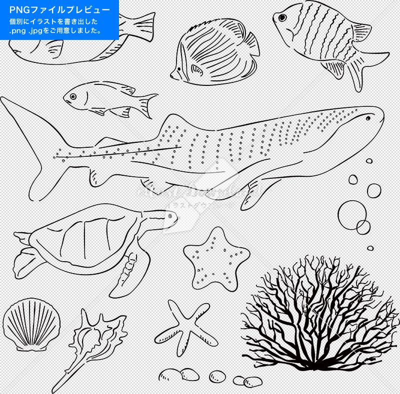 海 魚 ジンベイザメ ウミガメ あしらい ペン画 手書き Illust Download