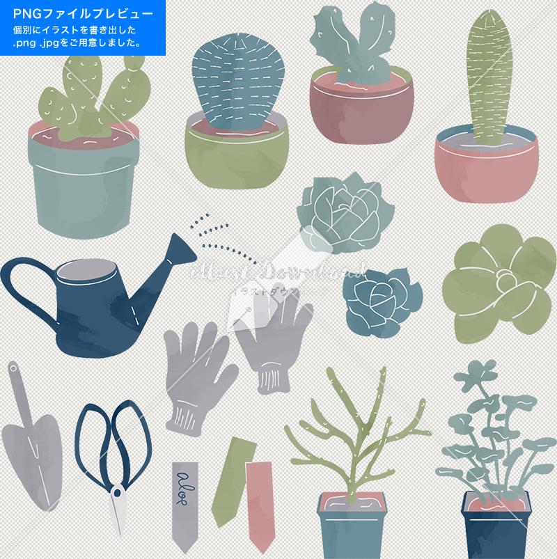 多肉植物 緑 自然 あしらい 色付き Illust Download