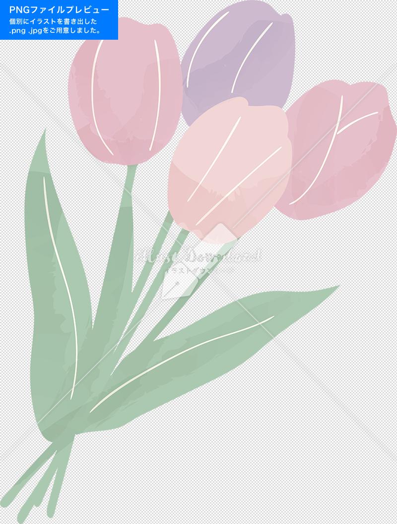 春 チューリップ 花束 Illust Download