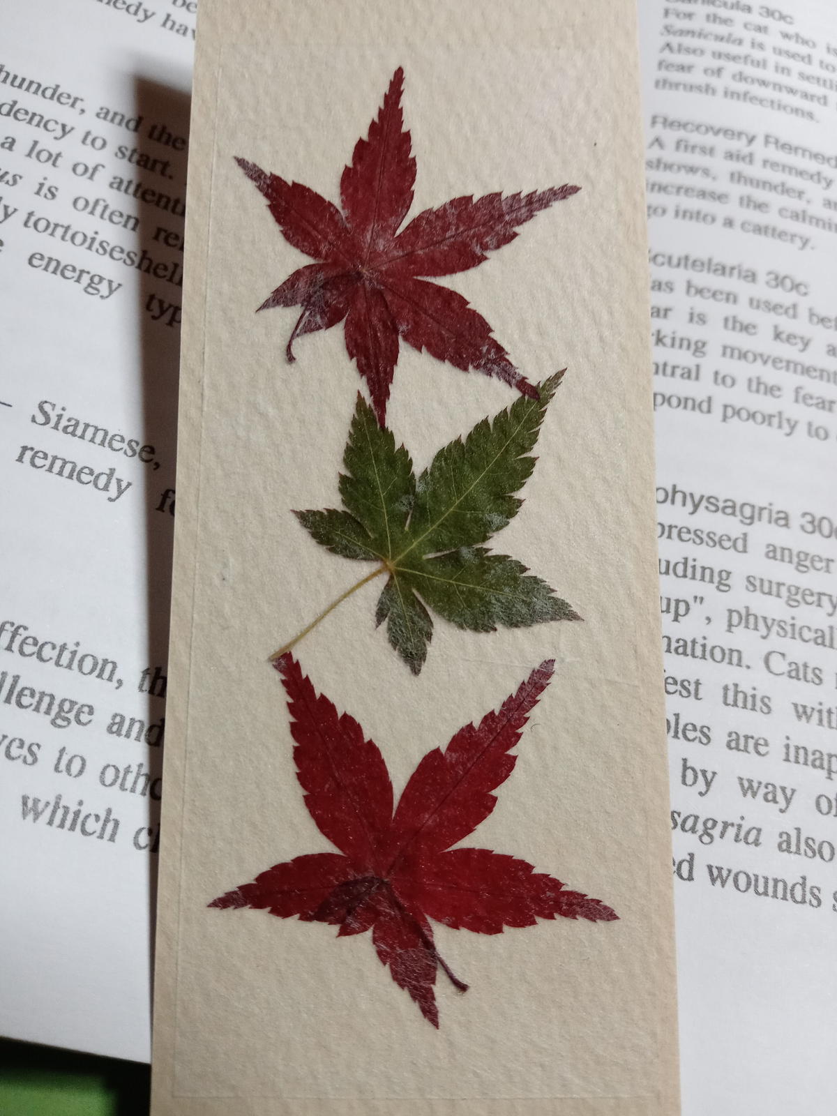 押し花栞 もみじ 押し花アートrainforest Store