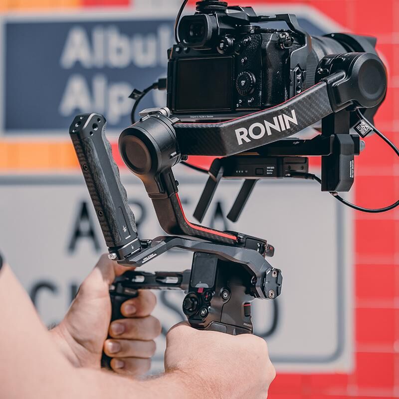 絵画】ボタニカルアート 「カトレア」原画