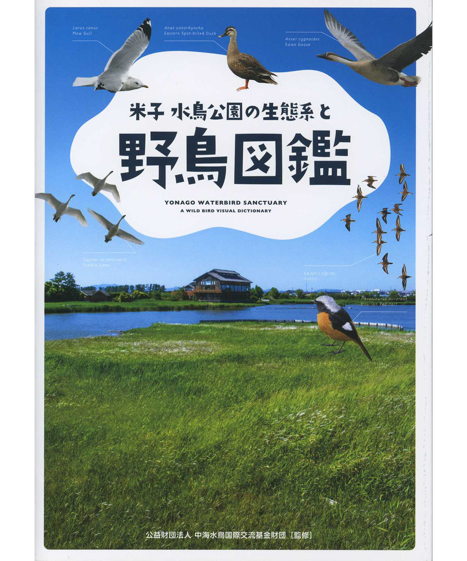 米子 水鳥公園の生態系と野鳥図鑑 Imaibooks Online