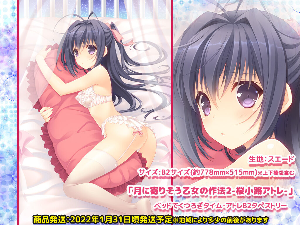 受付可能残数3個 月に寄りそう乙女の作法2 ベッドでくつろぎタイム アトレb2タペストリー