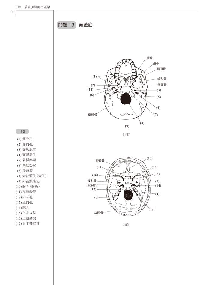 仙骨後頭骨テクニックの解剖学と生理学