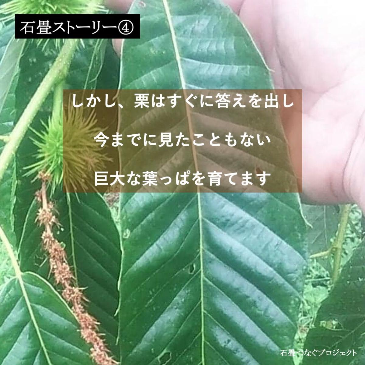 数量限定 完熟石畳栗の焼き栗 700ｇ 350ｇ ２袋 冬季常温発送 石畳つなぐプロ