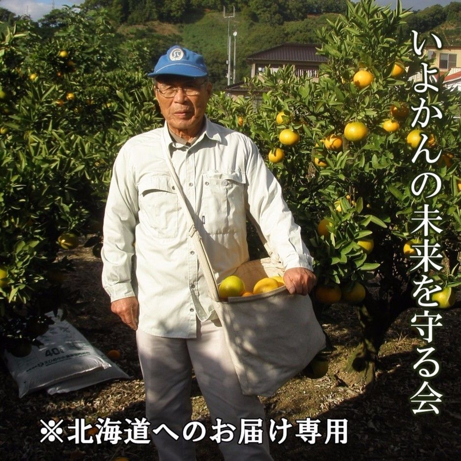 いよかんの未来を守る会 頒布会 北海道へのお届け専用 Maru Webstore
