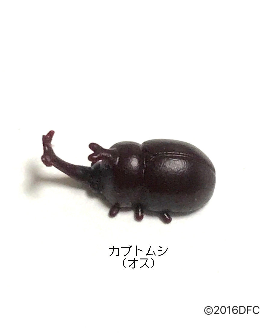 Cup Figure用アクセサリー カブトムシ オス メス Izm Cup Figure用アクセサリー カブトムシ オス メス Izm