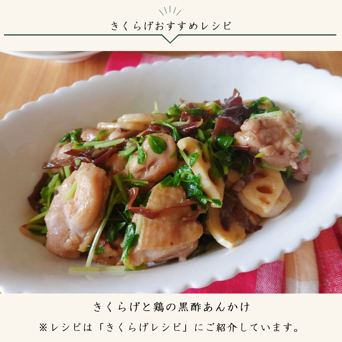 乾燥きくらげ 50g 杜のきくらげ Online Store