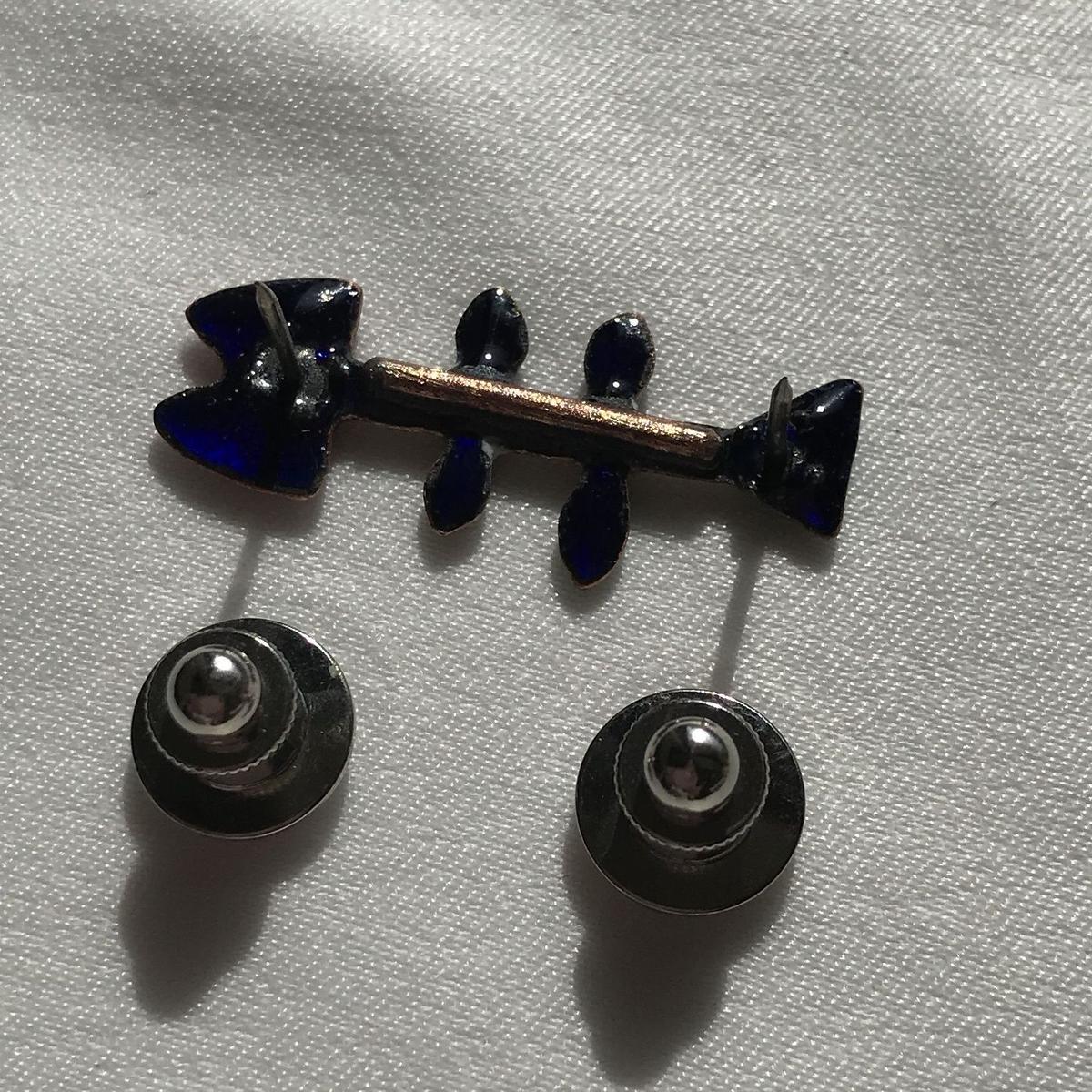 柊いわしブローチ Enameling Jewelry A I Kojima