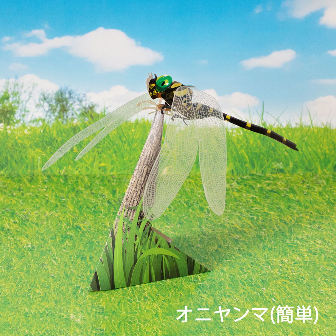 Zaiku Online Shop zaiku-online-shop