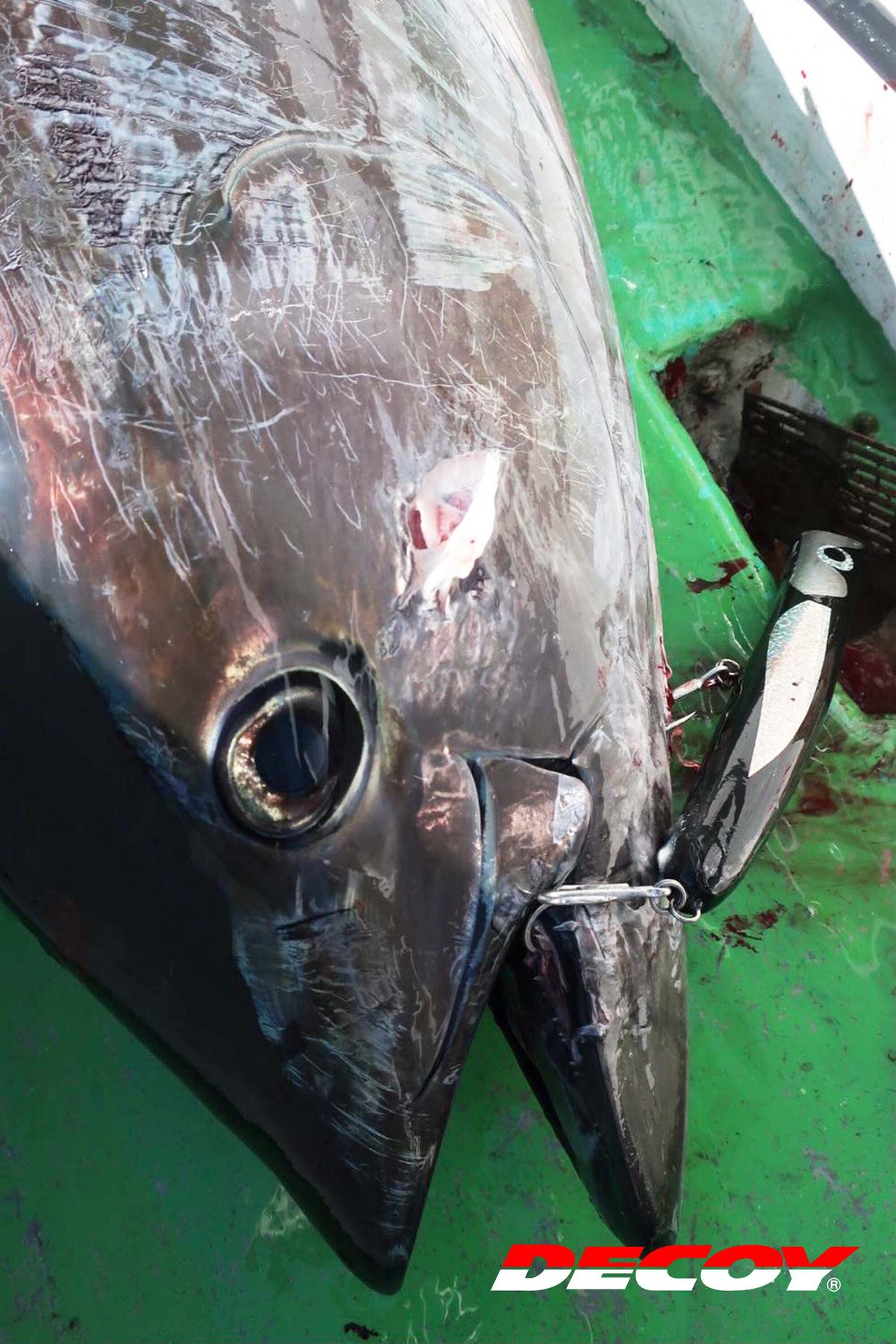 Treble YS22 KATSUICHI / DECOY official shopp...