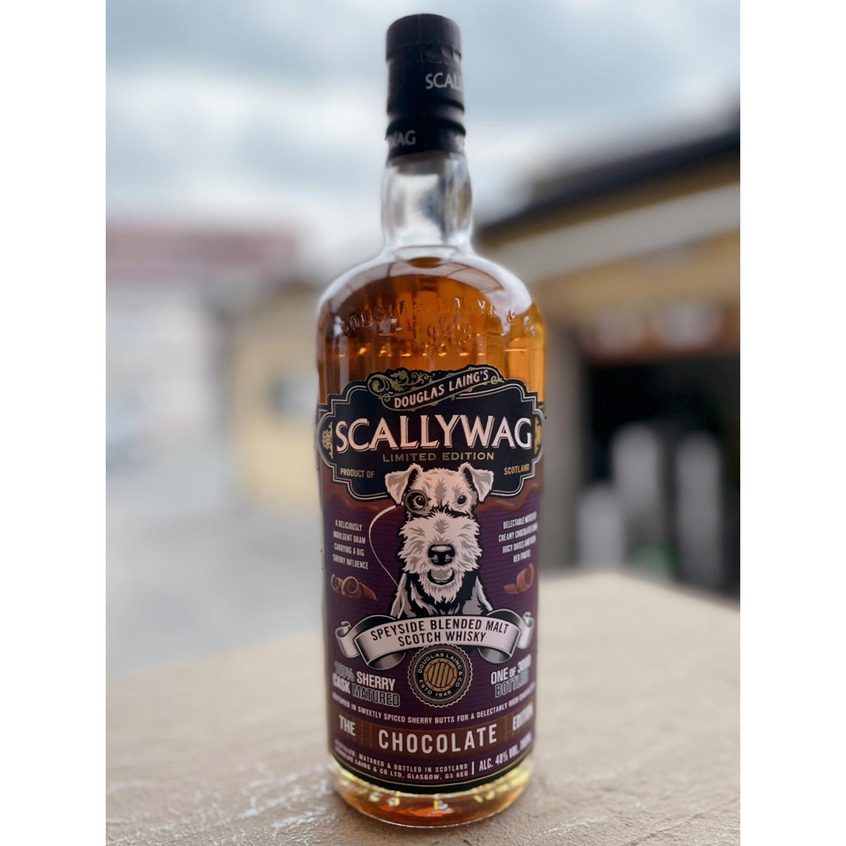 スカリーワグ 寅年 エディション 日本未発売 海外限定 33 【公式通販】 スカリーワグ 寅年 エディション 日本未発売 海外限定 33 【公式通販】