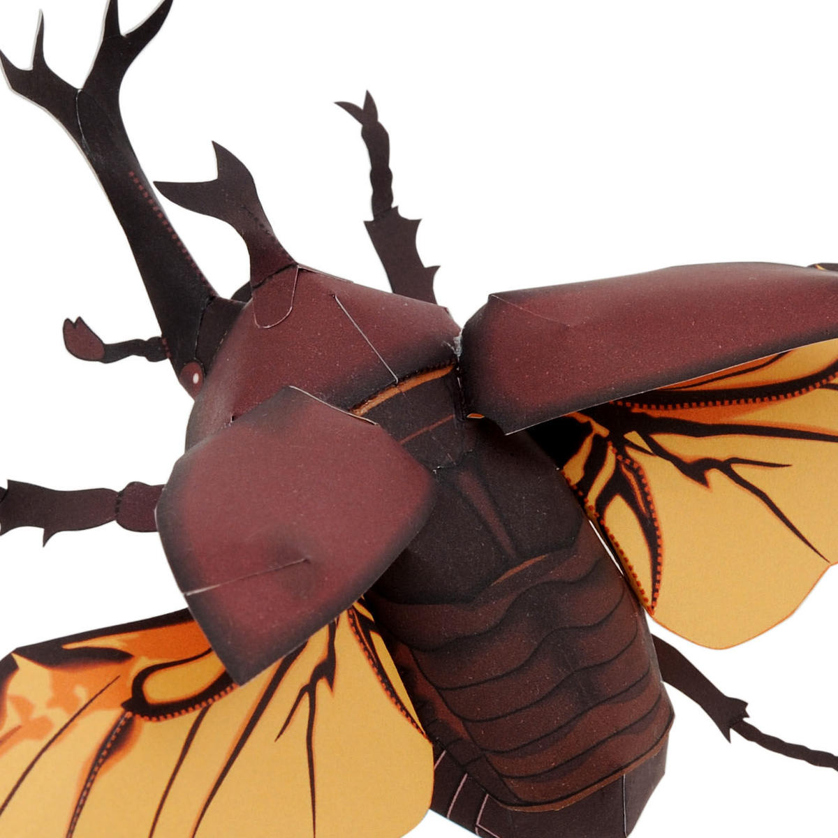 カブトムシ 飛翔 Japanese Rhinoceros Beetle 紙工作キット