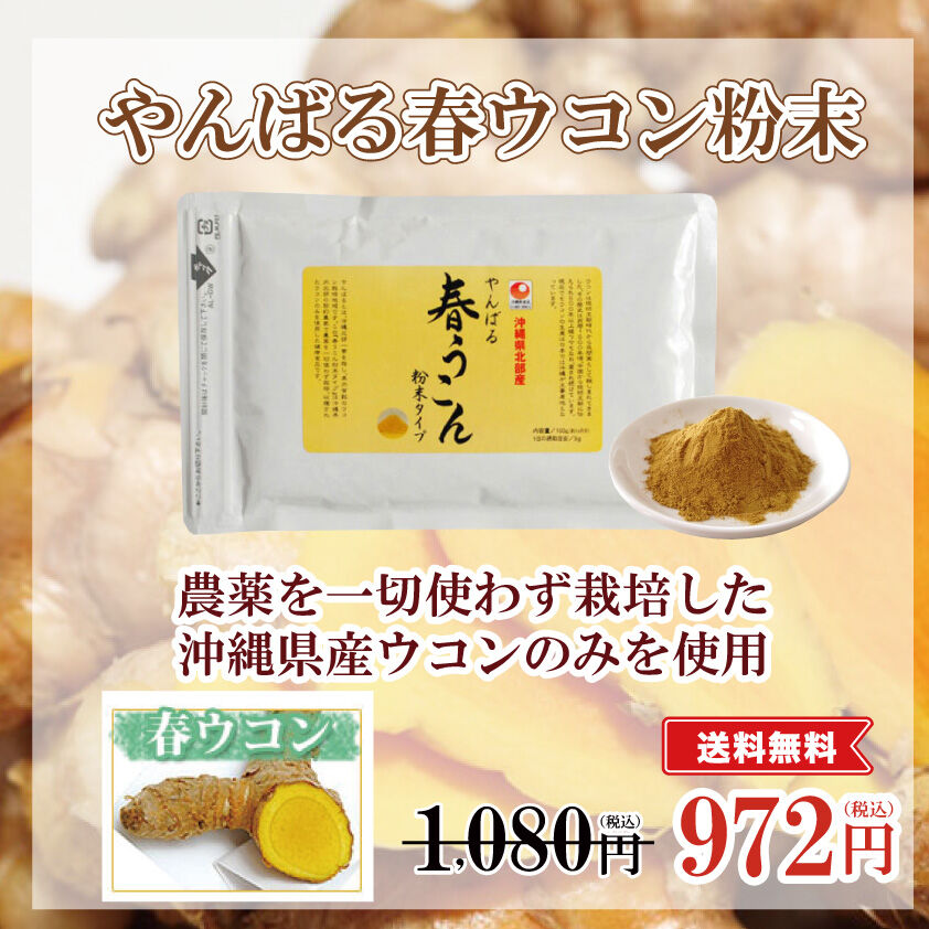 613円 有名なブランド 沖縄県産品 春ウコン粉末 袋 100g 613円 有名なブランド 沖縄県産品 春ウコン粉末 袋 100g