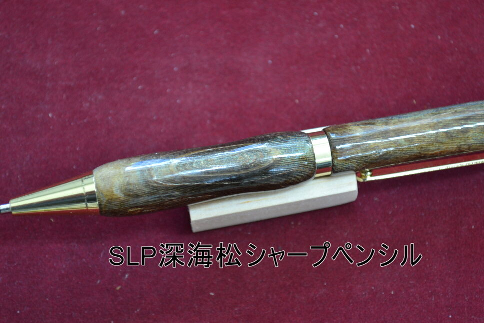 深海松 海松 虹彩珊瑚 レインボーコーラル 金松 644g