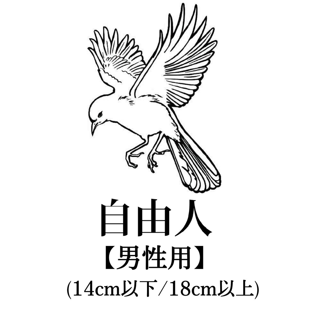 【お年玉セール特価】 究極品質 超希少入手困難 ヒマラヤ最強の聖石 ガウリシャン アクセサリー