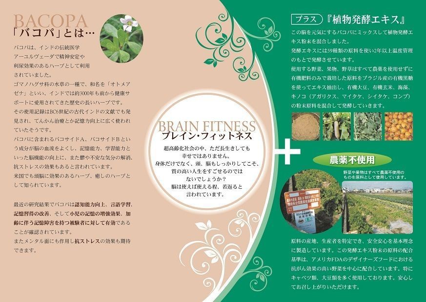 ブレインプラスエキス 集中力、記憶力、脳機能改善