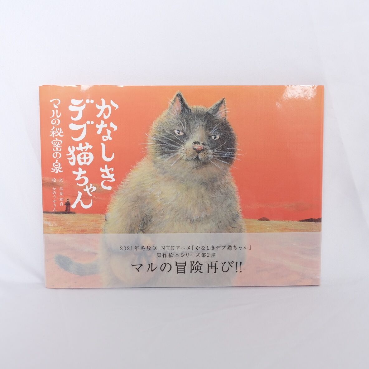 絵本 かなしきデブ猫ちゃん マルの秘密の泉 特典付き 兵庫版クリアファイル３枚