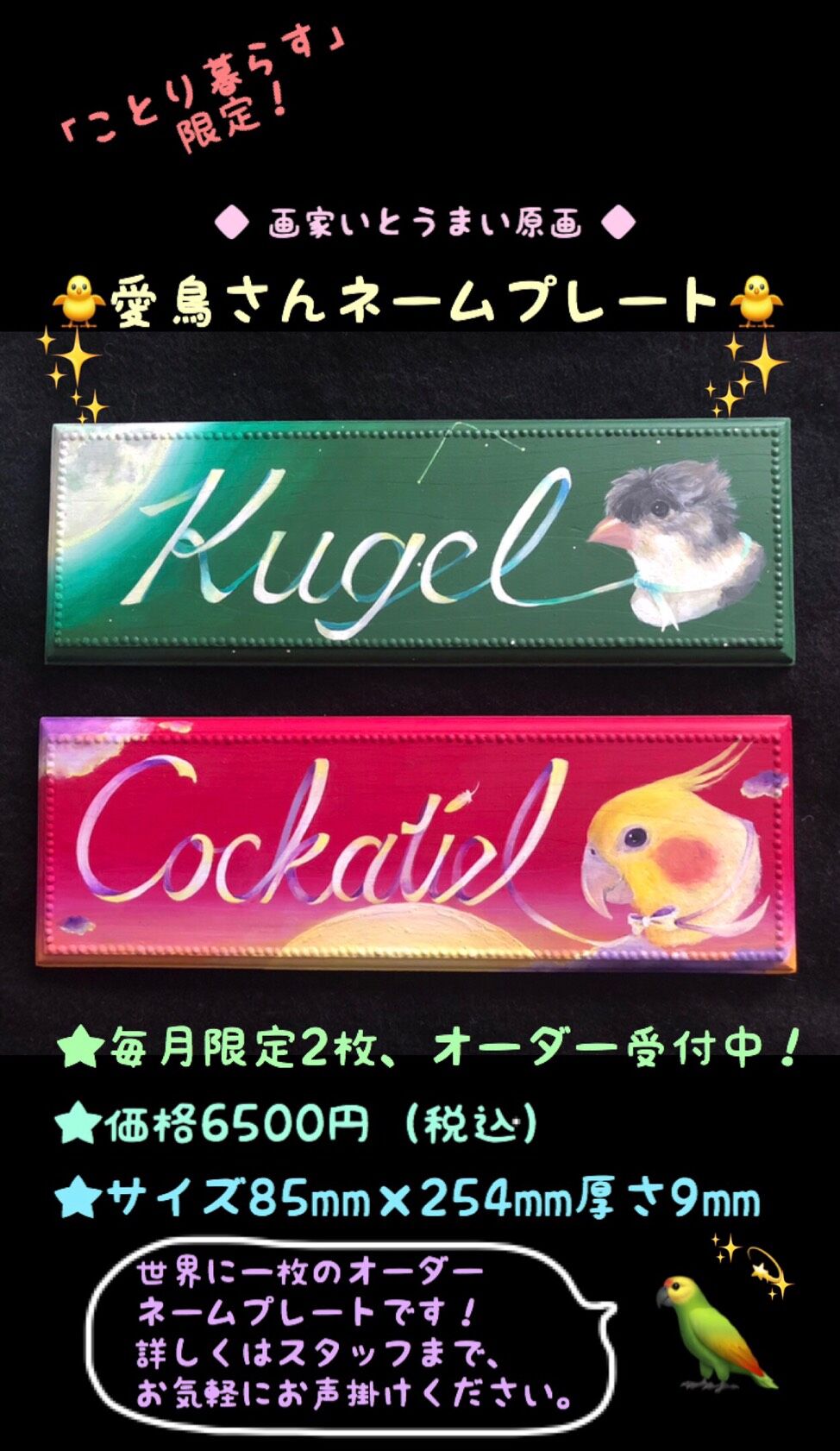 オーダー受付開始！＆新発売フィードカップ♪ | ことり暮らすブログ