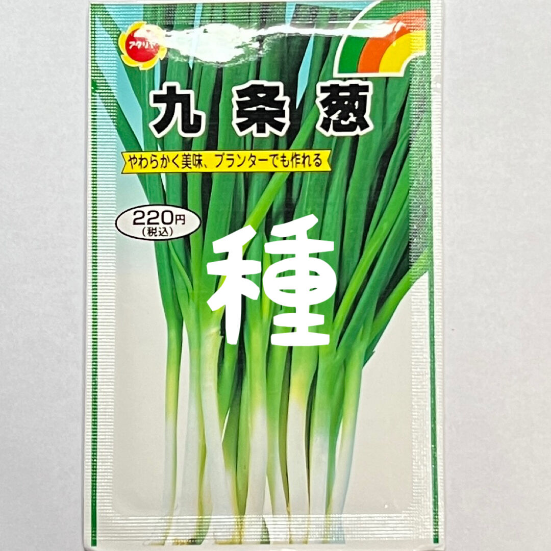 九条ねぎの種 1 5ml 水耕栽培を始めよう ありがとまと 本店 九条ねぎの種 1 5ml 水耕栽培を始めよう ありがとまと 本店