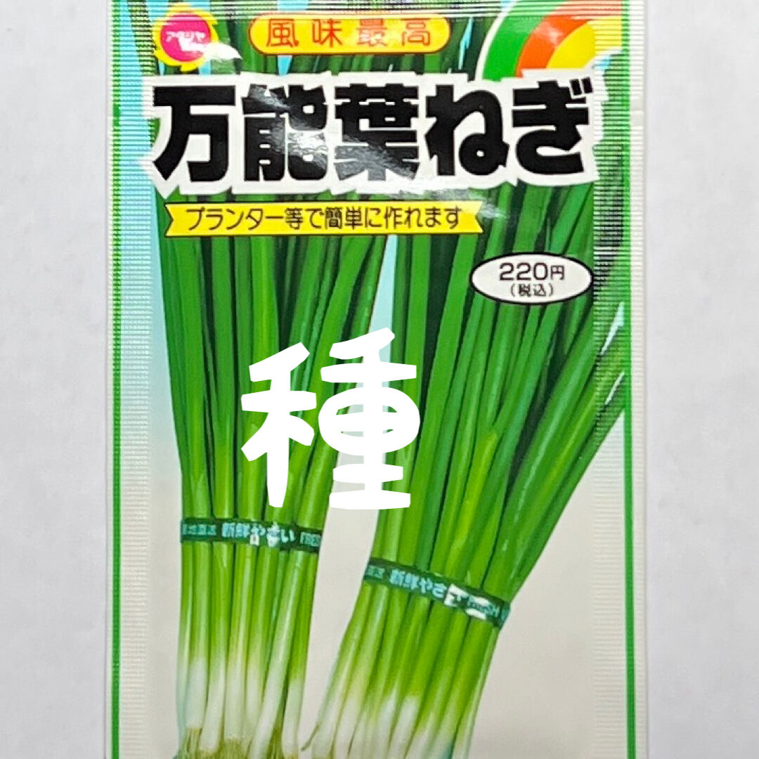 万能葉ねぎの種 1 5ml 水耕栽培を始めよう ありがとまと 本店