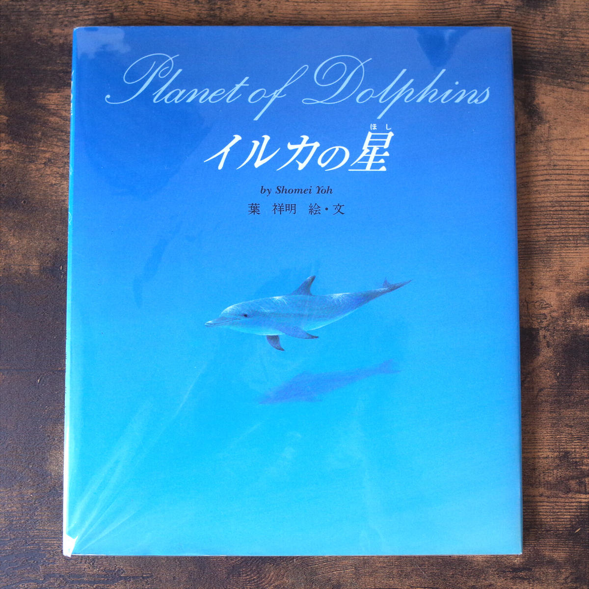 イルカの星 葉祥明 クマヒコ書房