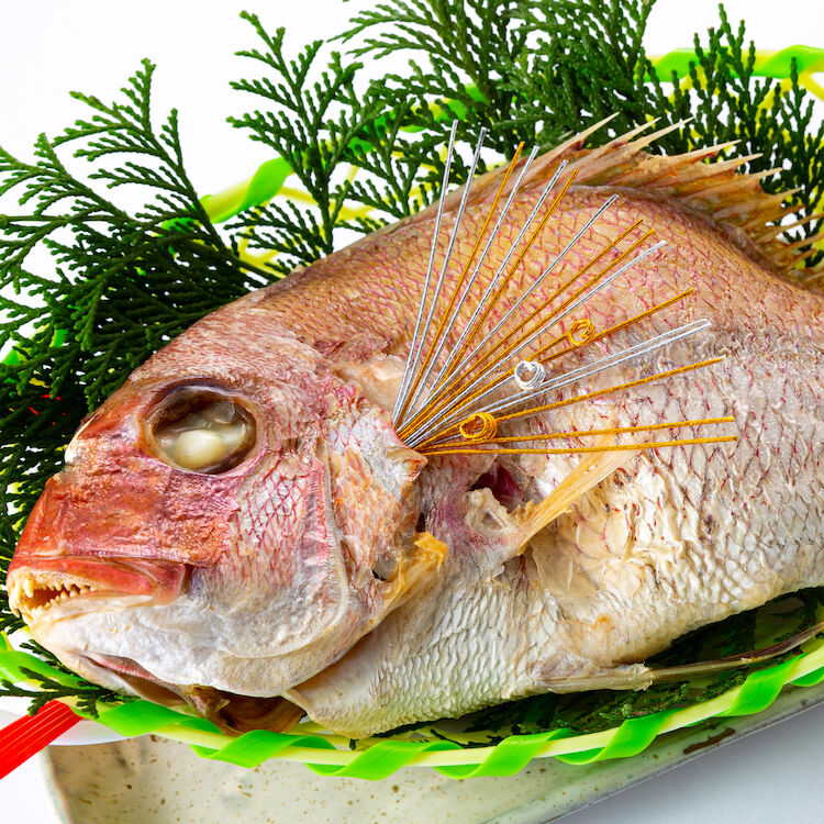 黒門市場 鮮魚川崎 天然焼き鯛 特大サイズ 約45cm 原型1 4kg 送料無料 黒