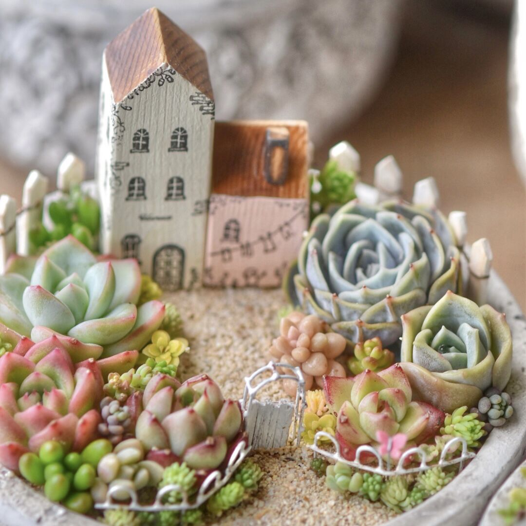 リメイク鉢48☆多肉植物☆寄せ植え☆インテリア デバリエ] bzl-48-rs 多肉植物 プランター 植木鉢 園芸鉢 陶器