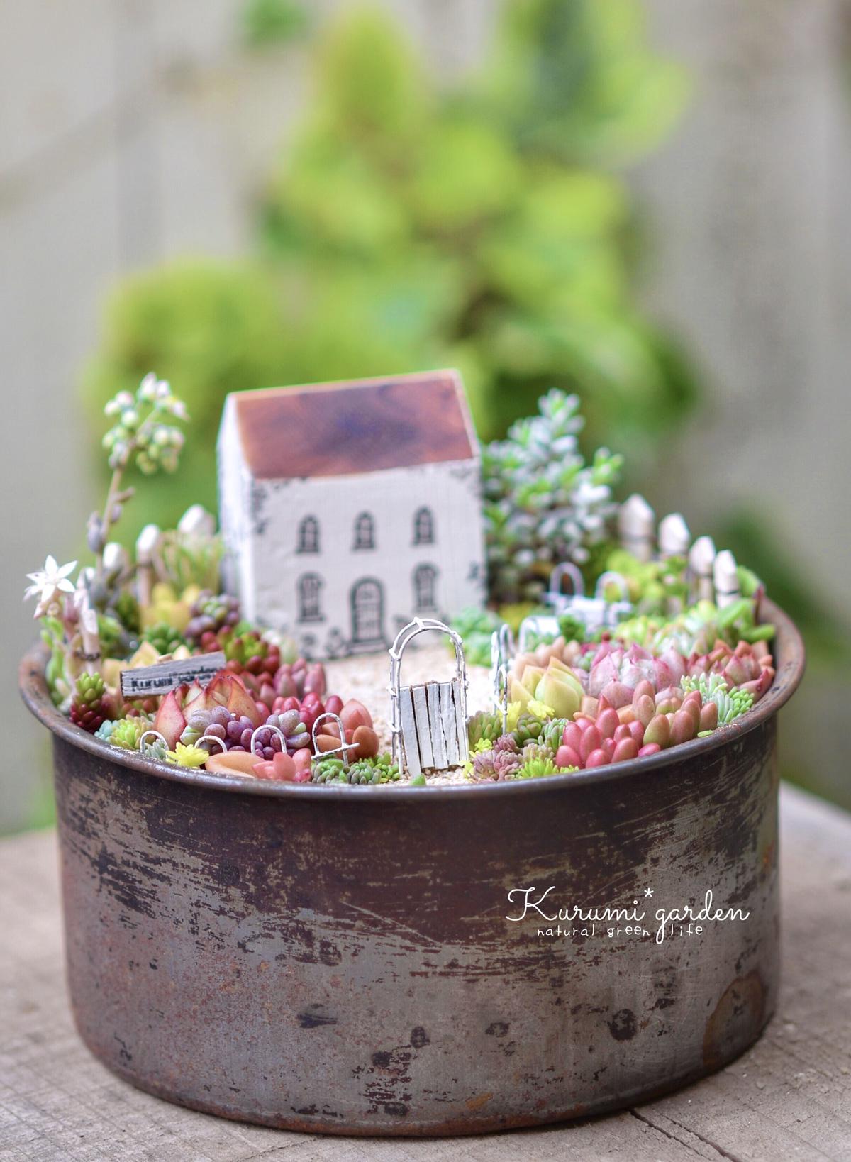 多肉植物の箱庭 Kurumigarden S Store
