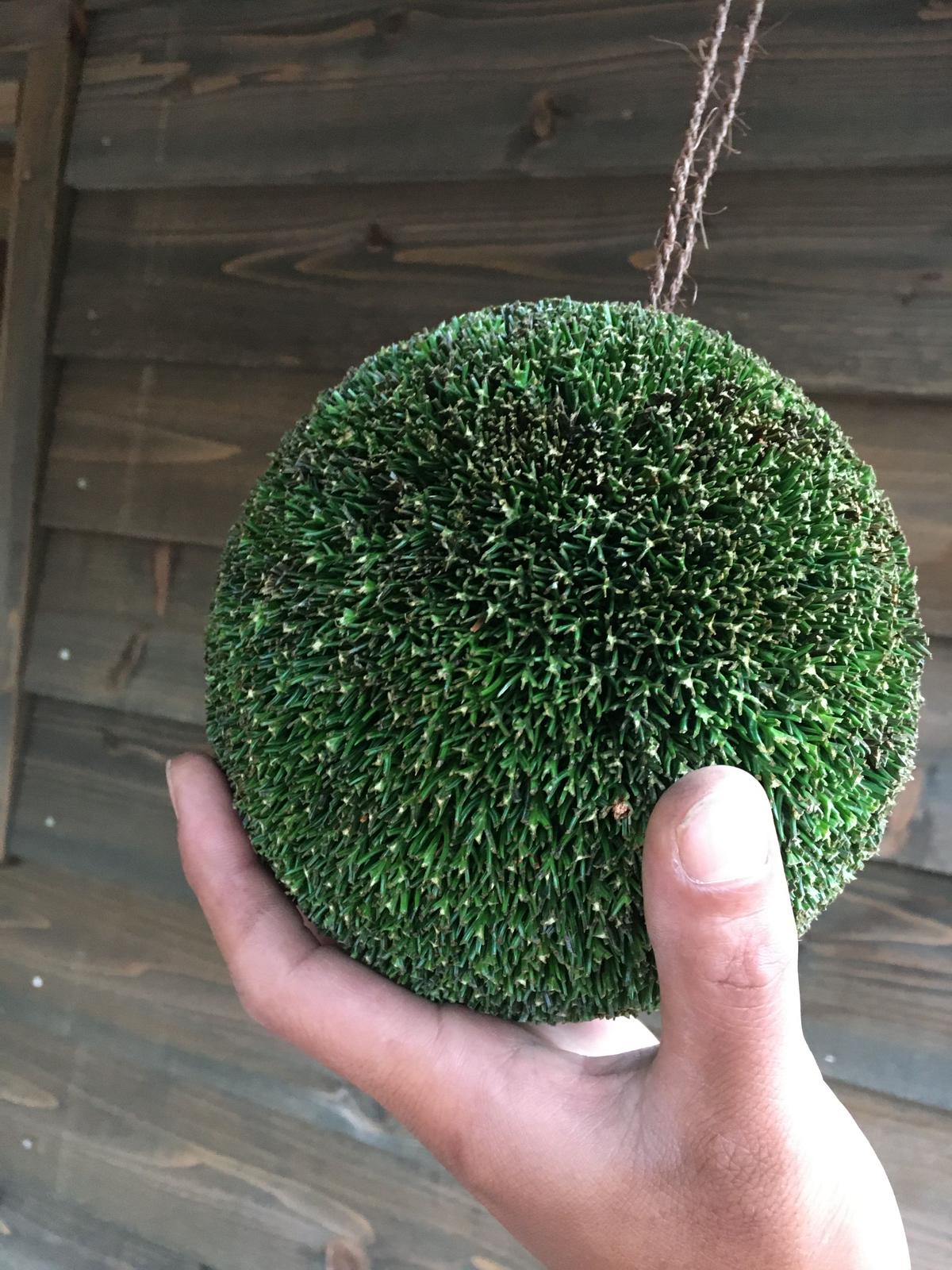 杉玉約40センチ二個‼️お客様ご注文品♪