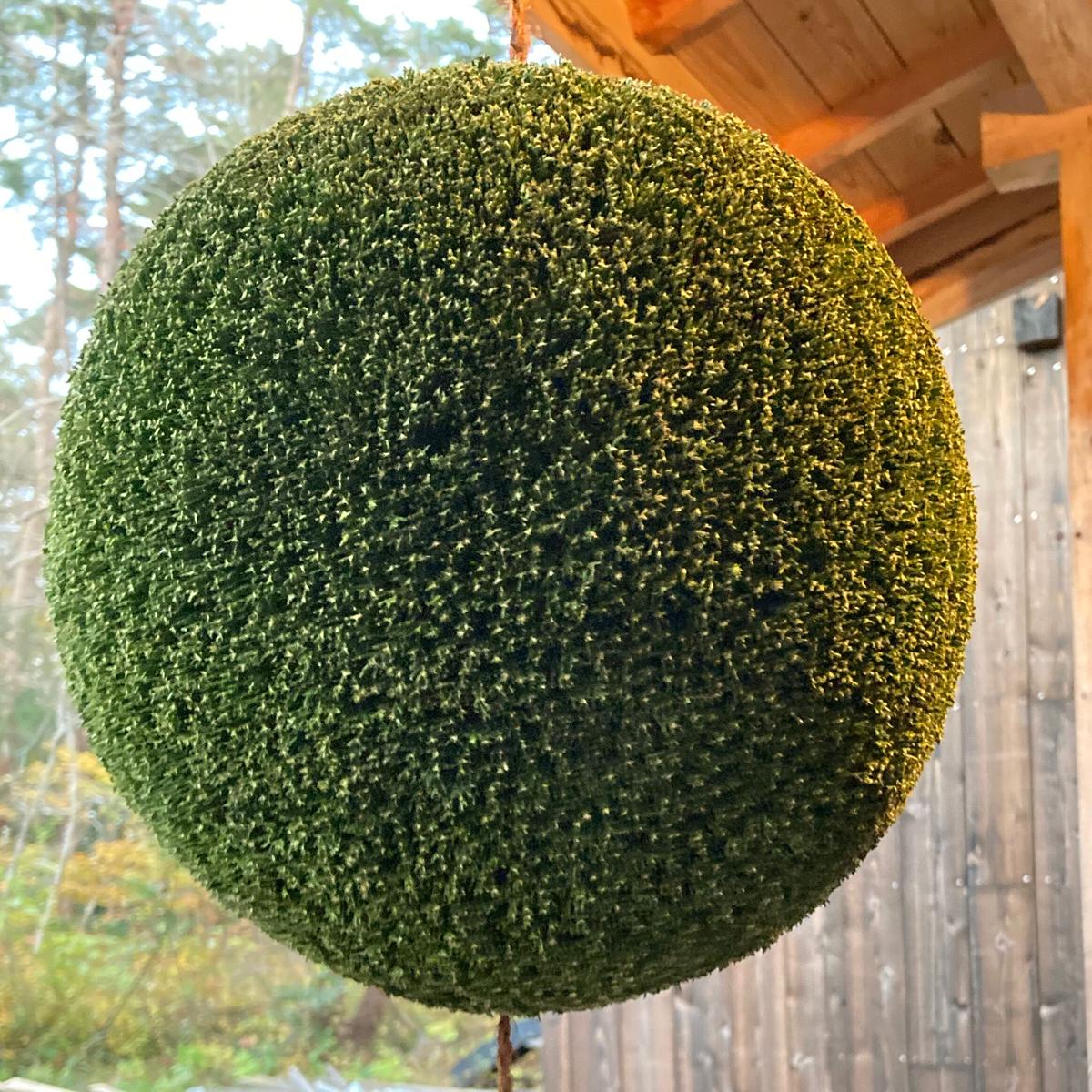 杉玉（提灯 : 20cm×30cm）杉まる