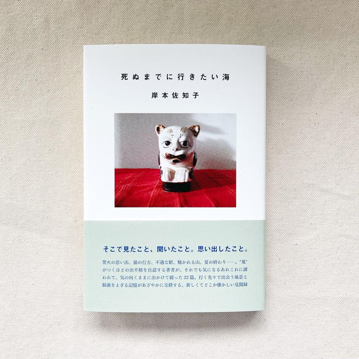 岸本佐和子 死ぬまでに行きたい海 曲線