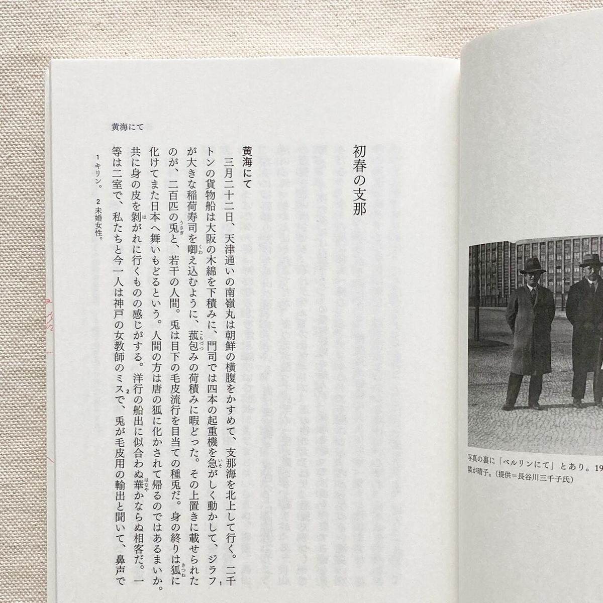 市河晴子紀行文集 欧米の隅々 | 曲線