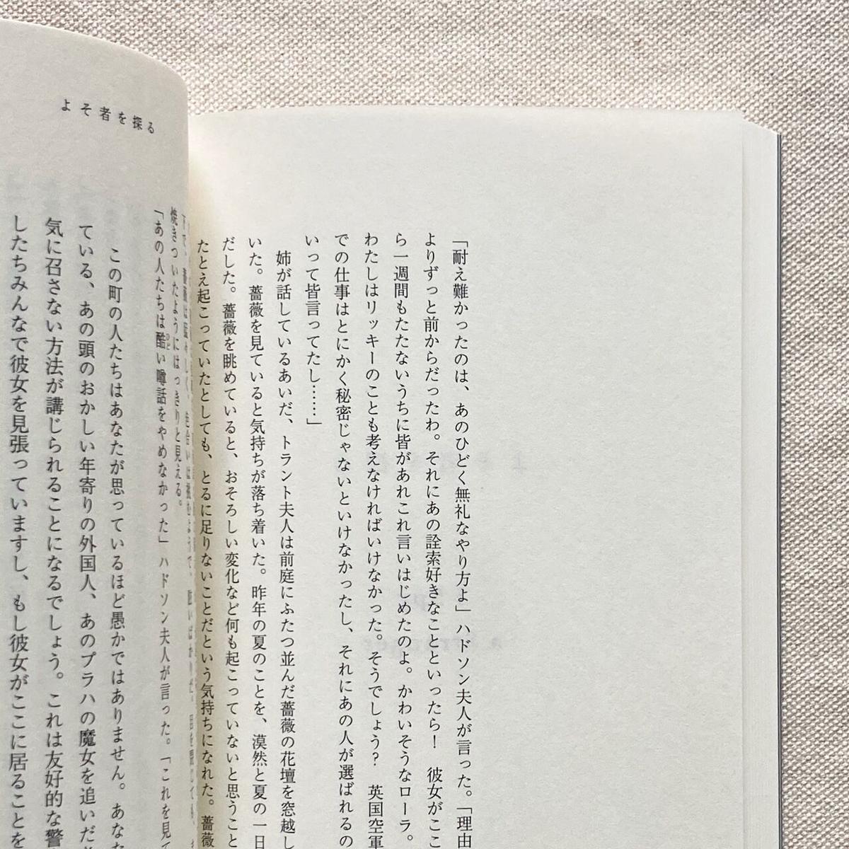 ジーン・リース|あの人たちが本を焼いた日 曲線