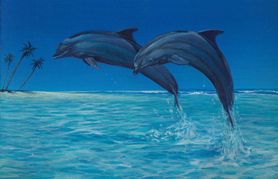 ２頭のジャンプするイルカ H K Lesartgates