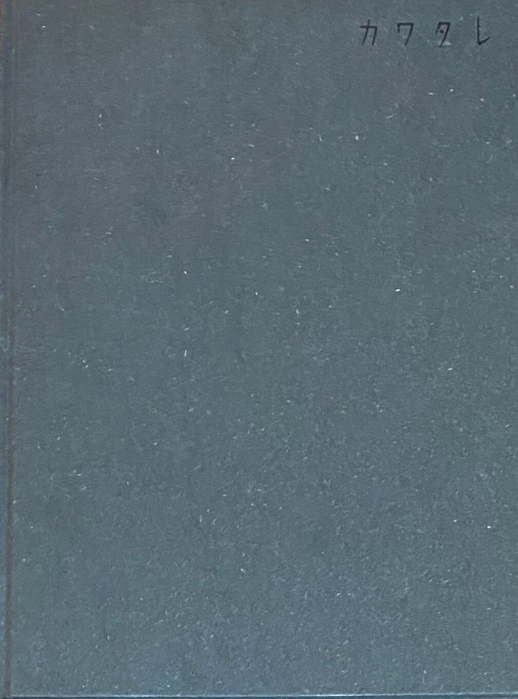 カタワレ 泊昭雄 Lieb Books