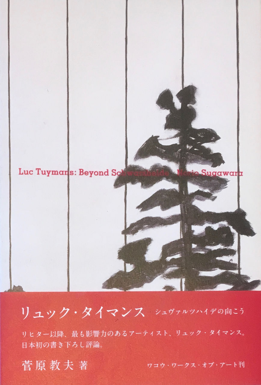 シュヴァルツハイデの向こう リュック タイマンス Lieb Books シュヴァルツハイデの向こう リュック タイマンス Lieb Books