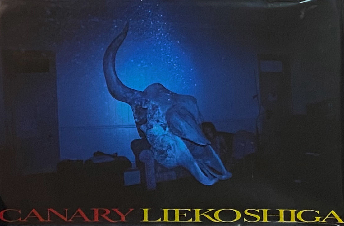 志賀理江子　Canary カナリア カナリア CANARY｜志賀理江子 Lieko Shiga