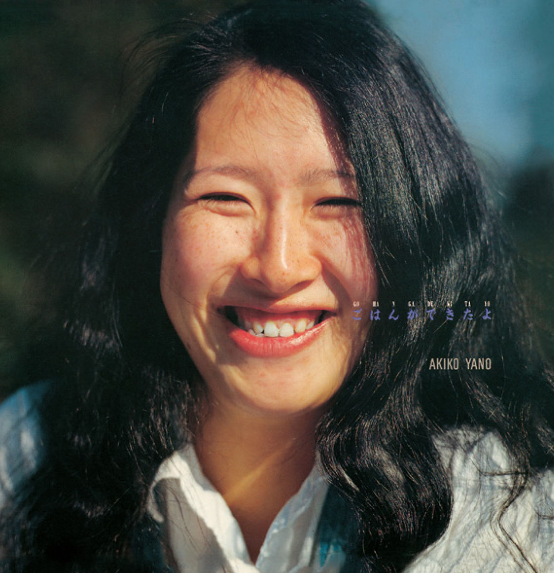 矢野 顕子 / ごはんができたよ LOGIC STORE