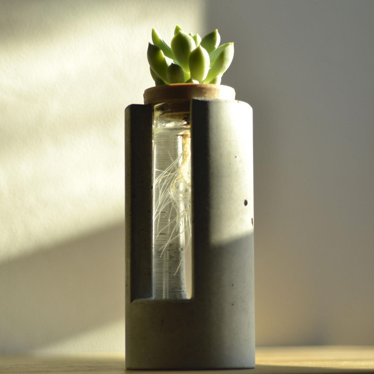 Plug New ハイドロカルチャー 水栽培容器 花瓶 Lotus Plus