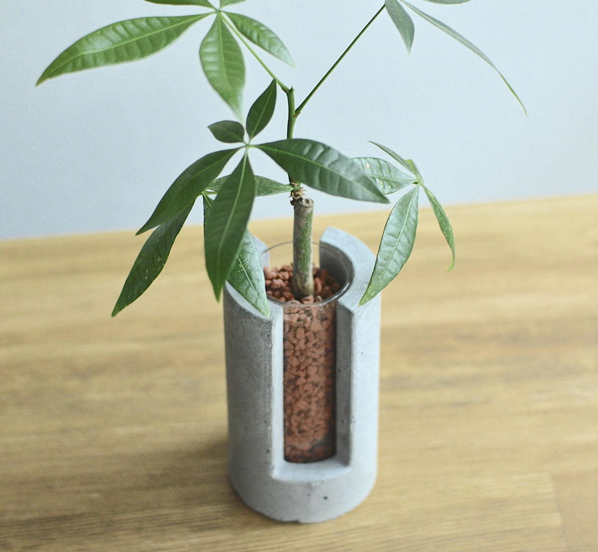 Plug Large ハイドロカルチャー 水栽培容器 花瓶 Lotus Plus