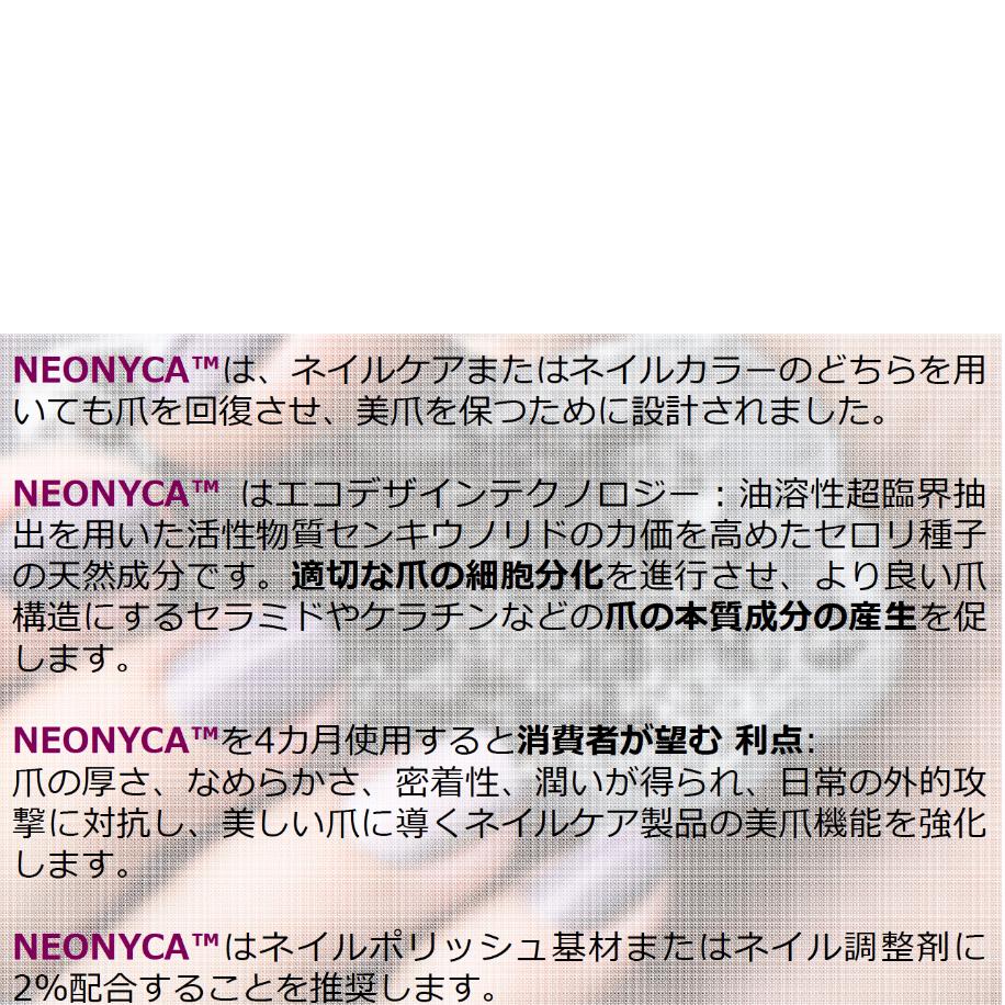 ネイルエンハンサー ネイル強化剤 甘皮にも Luz Beauty Shop