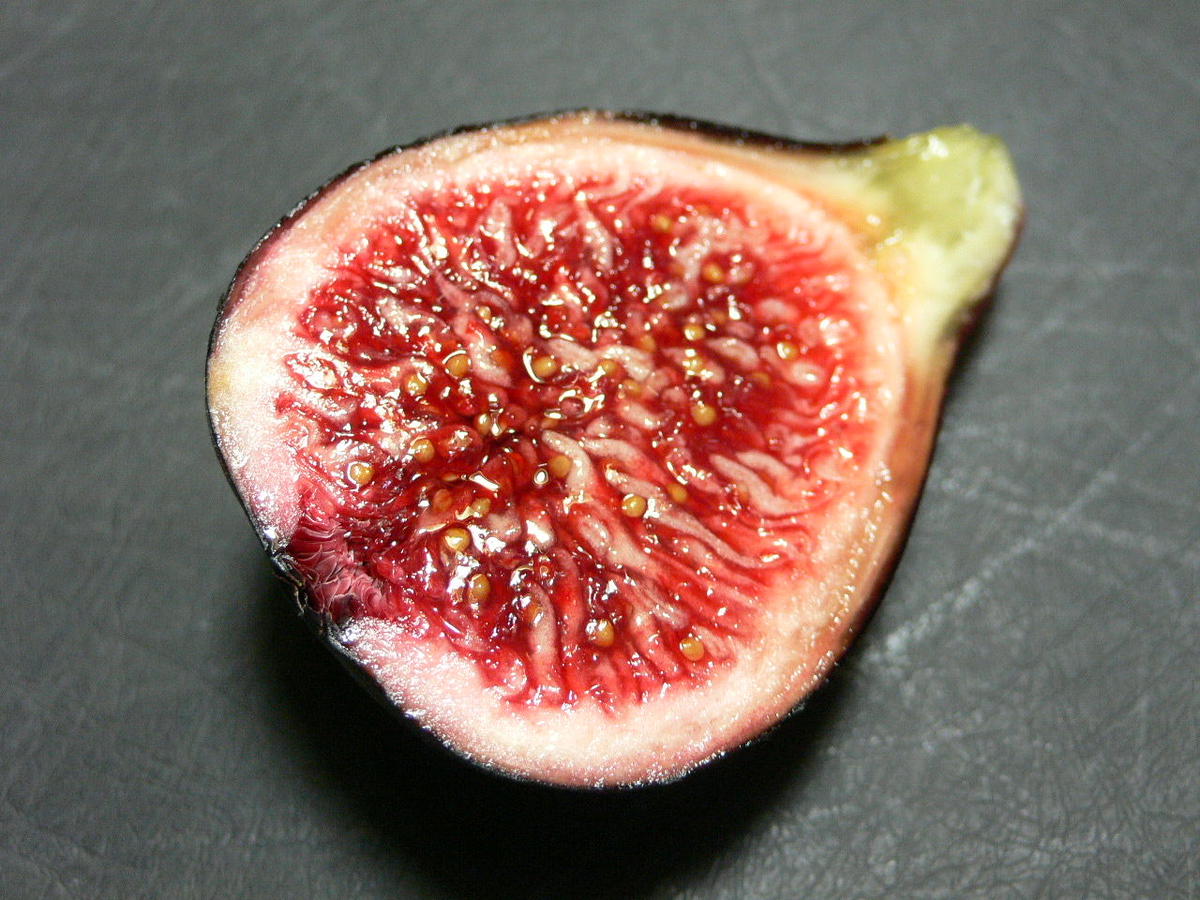 レディーブラック Lynx Fruit Collection